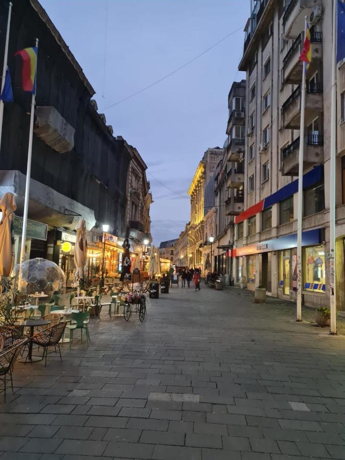 Color Ap Calea Victoriei 12C Apartment Bukares Bagian luar foto